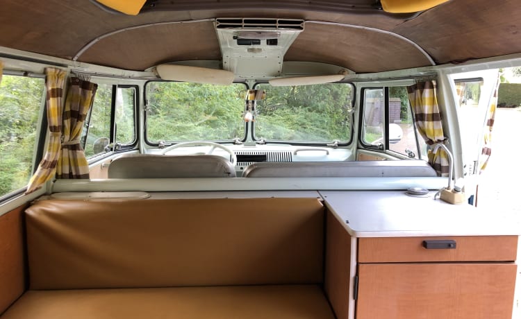 De Bus – T1 Volkswagen bus uit 1965