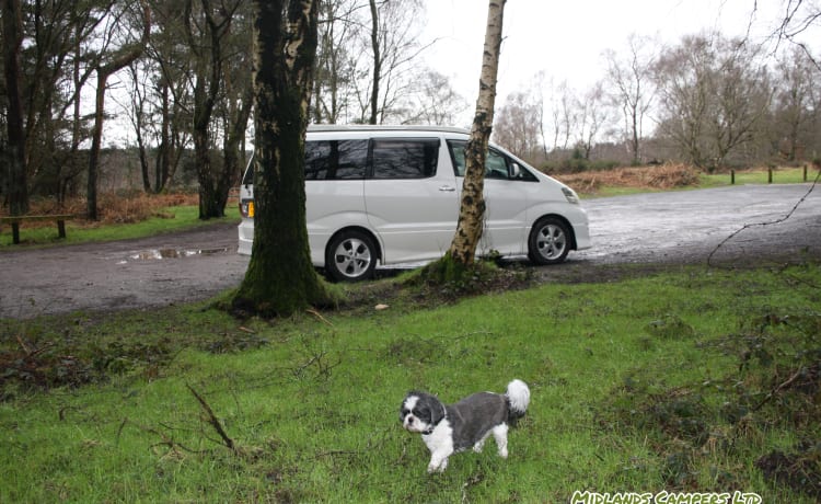 Skye – Toyota-Wohnmobil mit 4 Schlafplätzen aus dem Jahr 2005