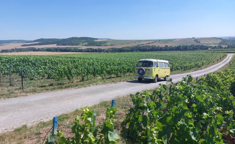 Ga op duurzame roadtrip met Lima! ⚡️🚐 – 100% Elektrisch! ⚡️ VW T2 "Lima"