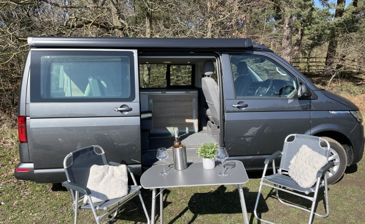 ViewStalkers – VW California Wohnmobil