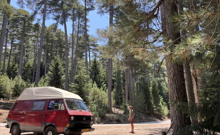 De Rooie Donder – Adventure with our VW T3 camper?