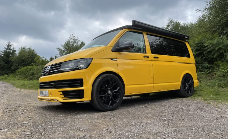 Bee – Maak kennis met Bee - VW CamperVan T6