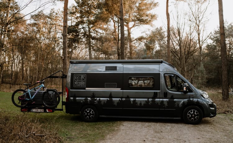 Dora – New comfortable and photogenic bus camper for 2 people