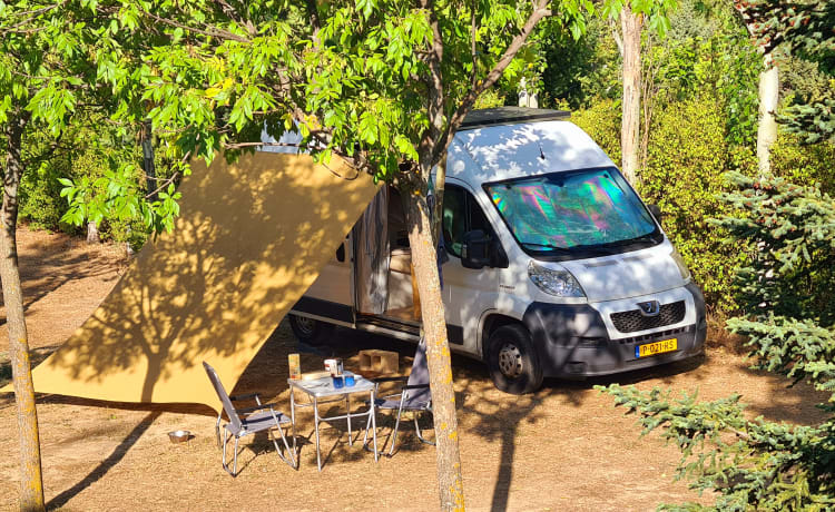 Bonnie – Accogliente camper, la tua casa su ruote! Perfetto per il campeggio selvaggio.