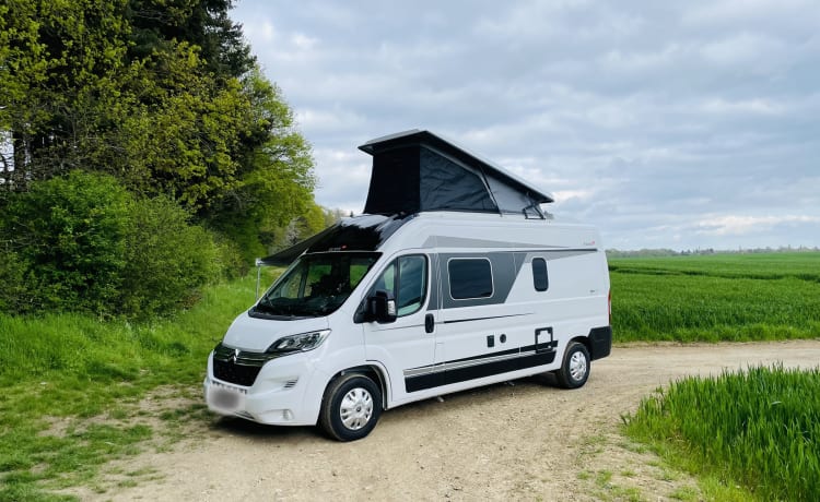 Camper van with sky roof and pop-up roof