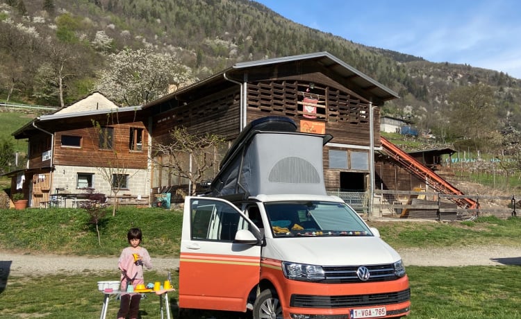 Hotel California On Wheels – VW California Ocean T6.1