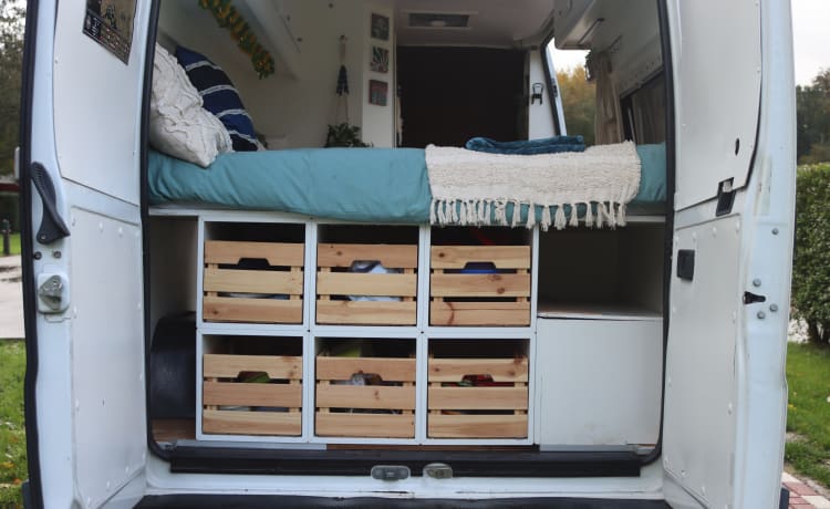 Bella de koe – 2p Fiat Ducato (ideal für Surfer und/oder Tierhalter) 