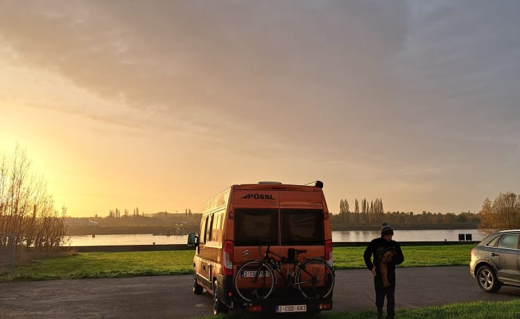 Oranje Puzzel – 2p Pössl bus uit 2019