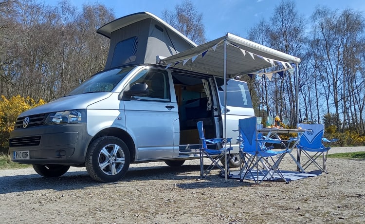 Harley – T5 VW Pop-top 4 Berth (SWB) Campervan (2010)