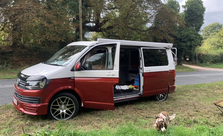 JARVIS – 4 berth Volkswagen bus from 2017