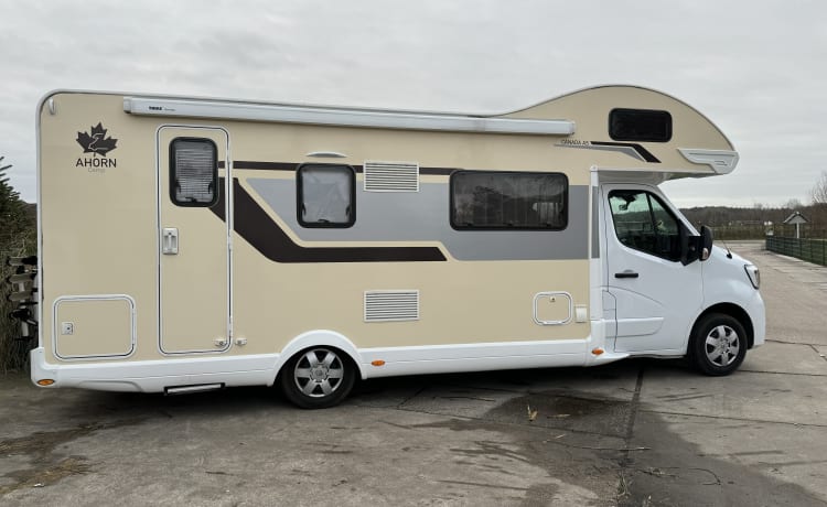 Cabriolet Renault 6p de 2020