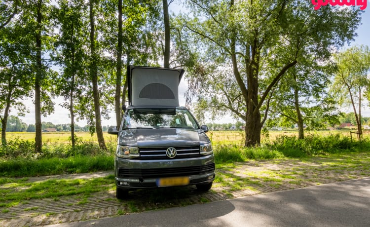 Bas – 4p Volkswagen VW6 California Ocean 2018