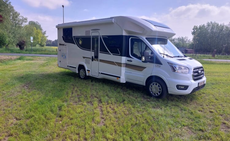 4p Ford semi-intégré à partir de 2023