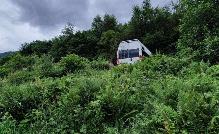 Regianna – 4 Schlafplätze Citroën Relay 2023 Off-Grid-Umstellung