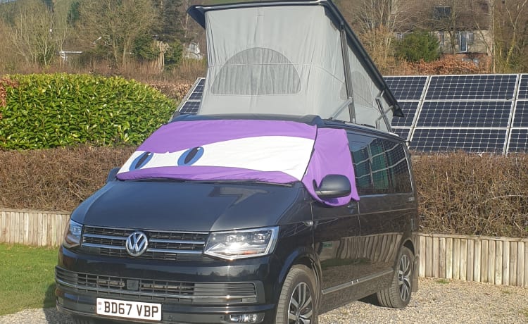 Billy – 4 couchettes Volkswagen California Ocean 2017