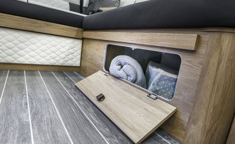 VIP 6 berth & 5 seatbelts – Animal ✅, WiFi, 2 téléviseurs, porte-vélos, repas extérieur