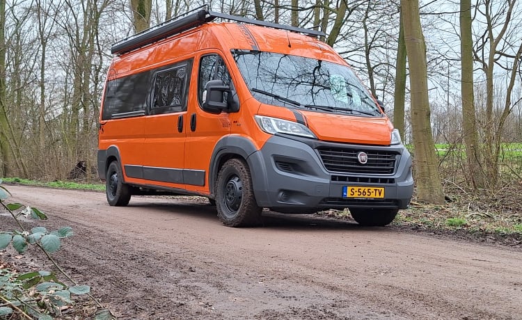 Camper autobus Fiat Ducato da 5 persone (costruito nel 2017) (costruito nel 2023)