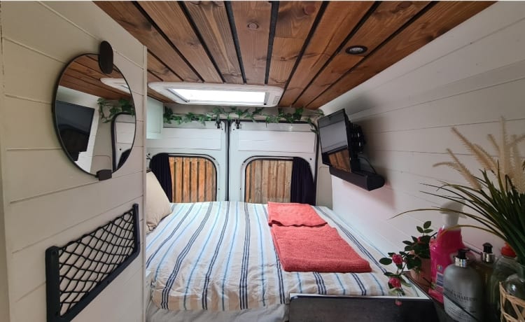 Glen – Camper convertito Citroën Relay L3H2 a 2 posti letto con doccia/WC