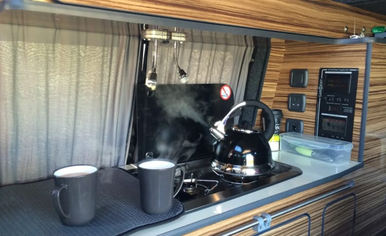 Bert – VW T5 3/4 Bett Campervan mieten