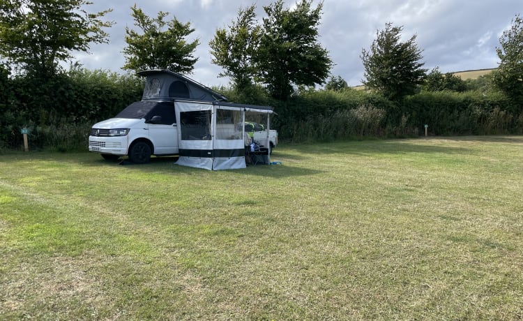 4 berth Volkswagen campervan from 2017