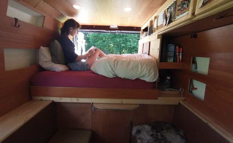 (Re) rested on a trip? Comfortable self-build van (2017, 2/3p)