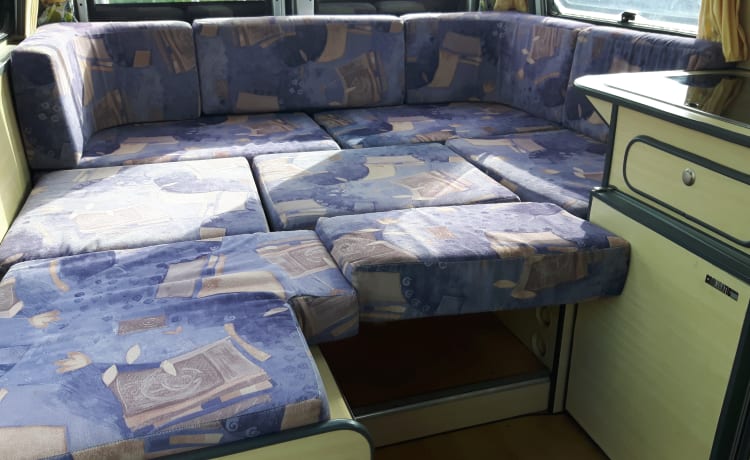 Lady – Comfortable, cheerfully pimpered, light Safari bus camper