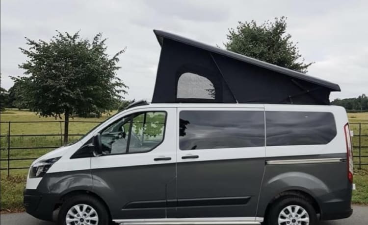 Tommy – Ford Campervan mit 4 Schlafplätzen, Baujahr 2015