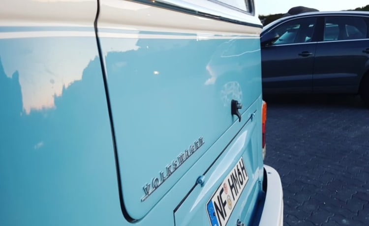 Loui – Camper Volkswagen T2