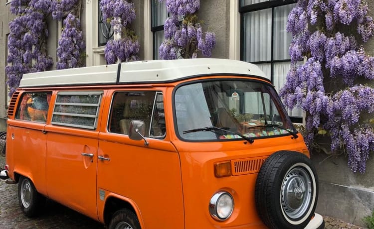 Orange  – Trendy orange Retro Volkswagen T-2 Camper