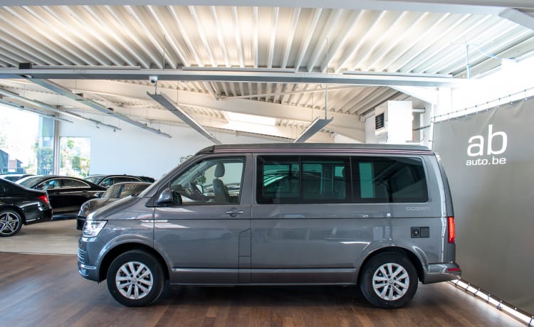 Bulli – 4p Volkswagen T6 California Ocean Wohnmobil aus dem Jahr 2020