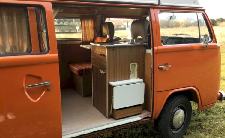 Pumpkin – Kombi Van T2