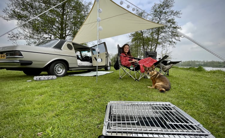 Extremely stylish LIMOUSINE camper