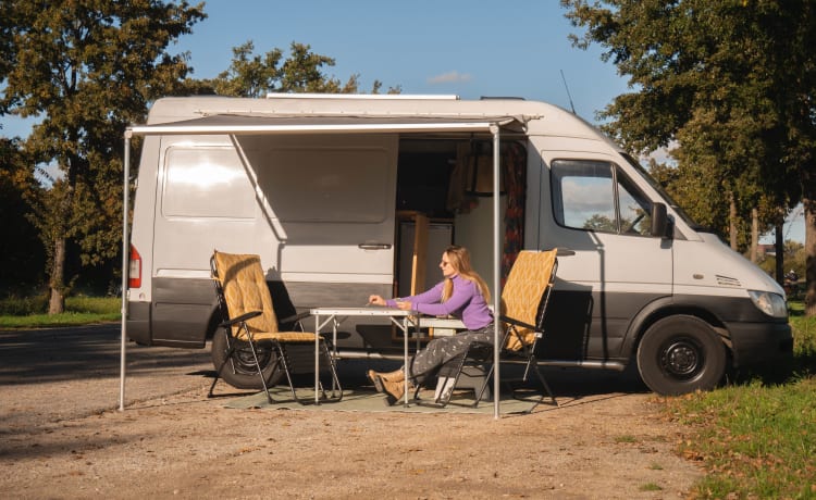 "Stiertje" – 2p Mercedes-Benz bus uit 2003