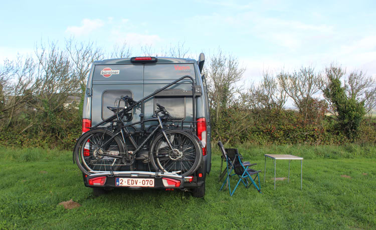 BleuJardin – 4er Bürstner Bus ab 2022