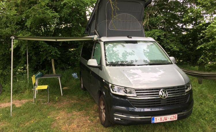 VW California T6.1 Ocean - Grijs/Blauw - Automaat