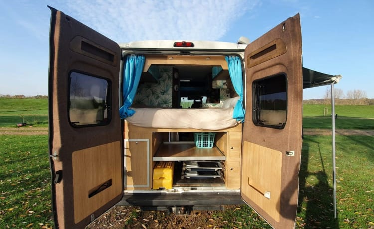 Cozy, very complete bus camper