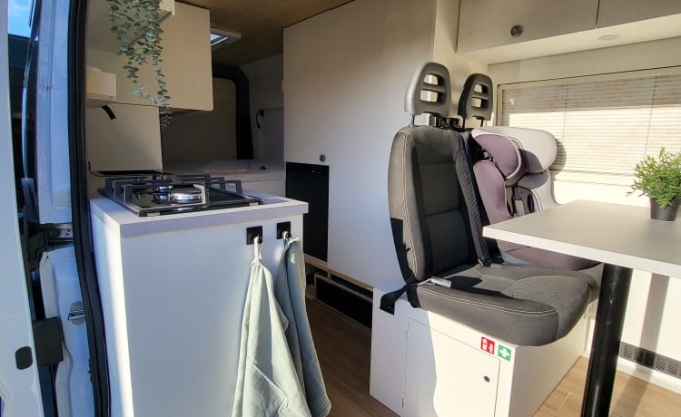 Pura Vida Van – Camping-car bus 3 personnes construit en 2023