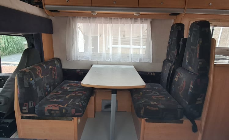 Grote Beer – 7p Chausson alkoofcamper uit 2002