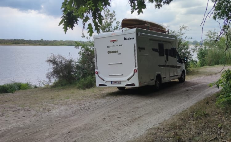 Ford 4p semi-integrato del 2019