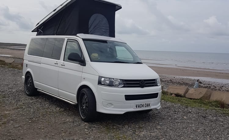 Salty sea dog  – 4 berth Volkswagen bus from 2012