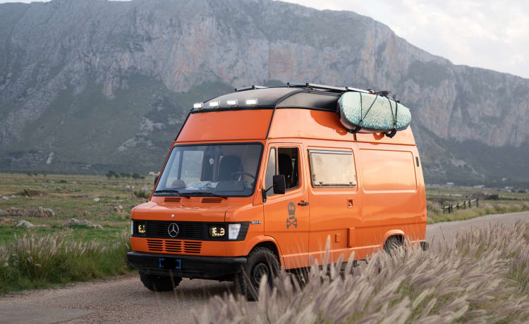 Maui – VAN MERCEDES WESTFALIA T1