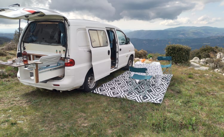 VANTASTIK RENTAL CAMPERVAN – VAN BOB