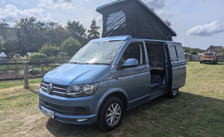 Smurf – 4 berth Volkswagen campervan from 2019