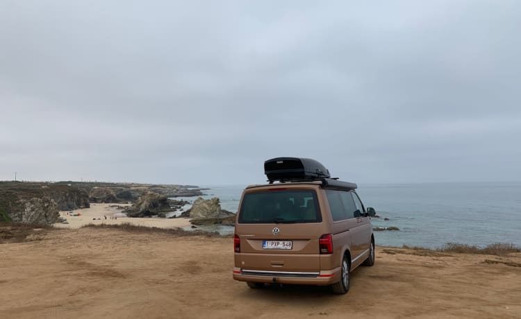 Volkswagen California T6.1 Ocean 2020