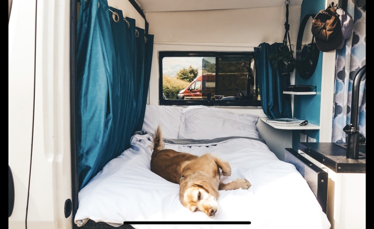 Bailey The Campervan  – Stop niet met ontdekken