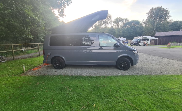 reggie – VW-transporter