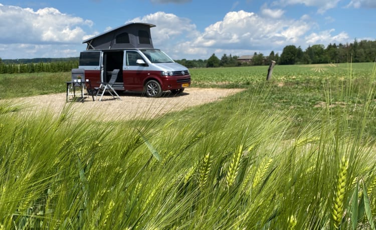 Luxuriöser Volkswagen Camper für 5 Personen