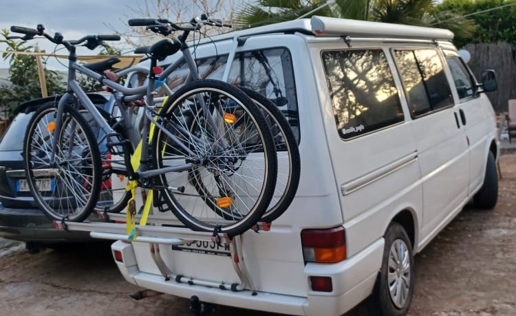 Calì  – Salento in a Volkswagen T4 California Coach van