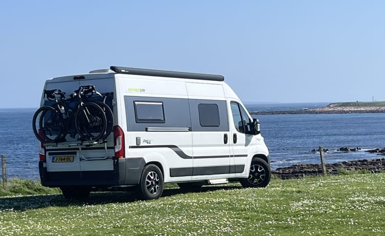 Freedom – Hymer Wohnmobilbus Free 600 Baujahr 2018