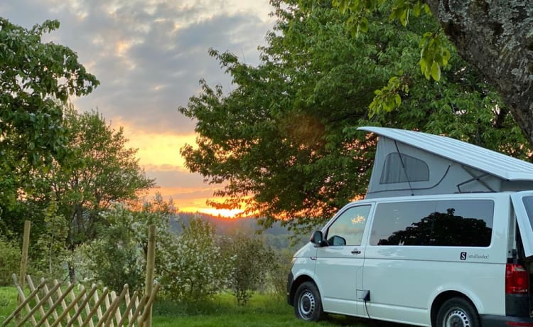 Bronckhorst 1 – Camper autobus Volkswagen